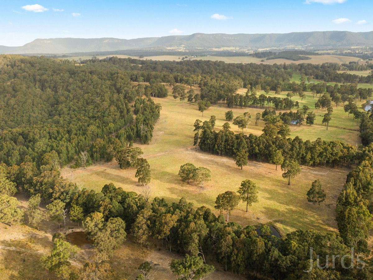 Open paddocks, gum trees and distant ranges at Coney Creek